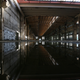 Illustration for article titled Abandoned Shipyard Halls Look Magical After Heavy Rain
